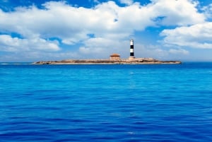 Ibiza: Catamaran Cruise to Formentera with Meal and Drinks