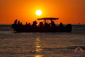 Ibiza: Cave and Beach Hopping Private Boat Tour