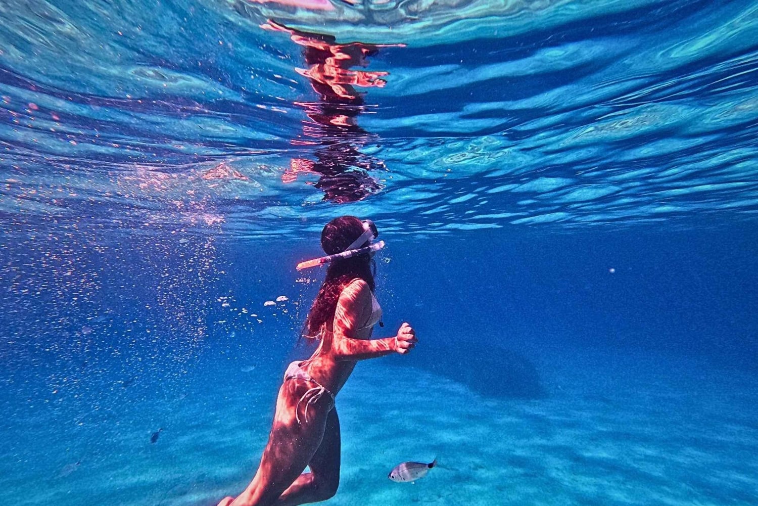 Ibiza: Coasteering-familiepakke