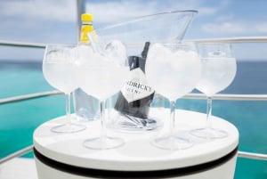 Ibiza: Premium Cruise til Formentera med mad og drikke