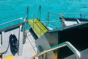 Ibiza: Crucero a Formentera con Barra Libre y Almuerzo Buffet