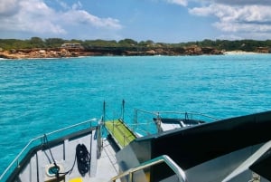 Ibiza: Kreuzfahrt nach Formentera mit Open Bar und Mittagsbuffet