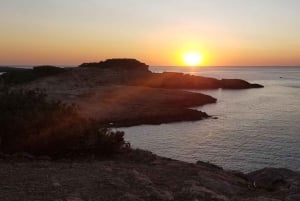 Ibiza: passeggiata lungo la Costa di Cristallo con sosta per nuotare