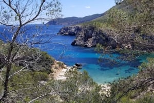 Ibiza: passeggiata lungo la Costa di Cristallo con sosta per nuotare
