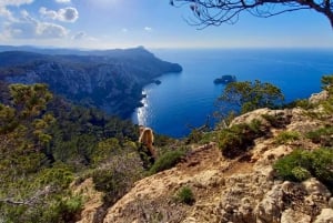 Ibiza: Ritiro di un giorno con yoga, terapia del suono e avventura
