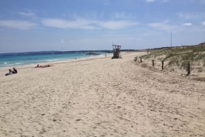 IBIZA day trip to Formentera by bicycle