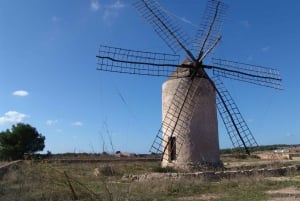 IBIZA day trip to Formentera by bicycle