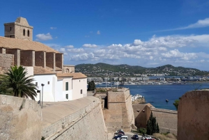 Ibiza E-Bike Tour: Verken Ibiza vanaf de Cruise Terminal