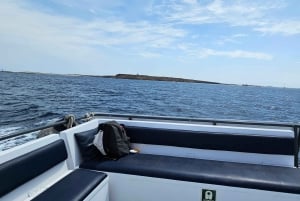 IBIZA: escursione in barca a Illetas con paella e bevande