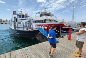 IBIZA: escursione in barca a Illetas con paella e bevande