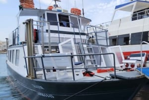 IBIZA: escursione in barca a Illetas con paella e bevande