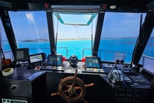 IBIZA: escursione in barca a Illetas con paella e bevande