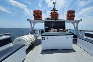 IBIZA: escursione in barca a Illetas con paella e bevande