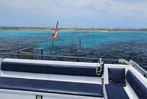 IBIZA: escursione in barca a Illetas con paella e bevande