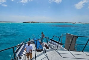 IBIZA: escursione in barca a Illetas con paella e bevande