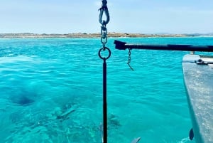 IBIZA: escursione in barca a Illetas con paella e bevande