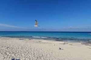 イビサ：フォルメンテラ島への電気フェリーでのフェリー航路