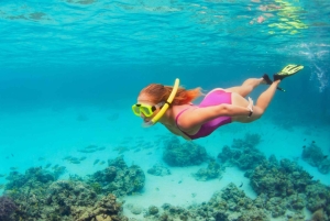 Ibiza: tour in barca di Formentera con colazione e pranzo