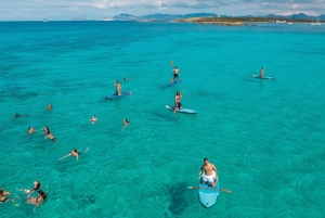 Ibiza: tour in barca di Formentera con colazione e pranzo