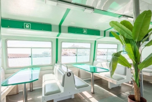 Ibiza: tour in barca di Formentera con colazione e pranzo