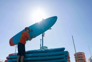 Ibiza: tour in barca di Formentera con colazione e pranzo