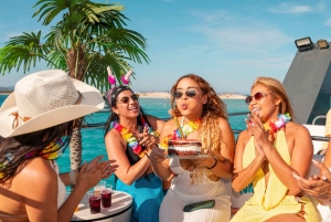 Ibiza: tour in barca di Formentera con colazione e pranzo