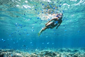 Ibiza: Formentera 360° Boat Trip with Food, Drinks, Sports