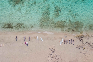 Ibiza: Formentera 360° Boat Trip with Food, Drinks, Sports