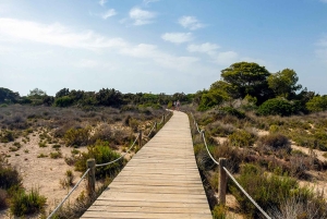 Ibiza: Formentera 360° Boat Trip with Food, Drinks, Sports