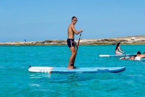 Ibiza: Tur til Formentera med paddleboard, snorkel og frokost