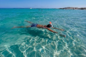 Ibiza: Tur til Formentera med paddleboard, snorkel og frokost