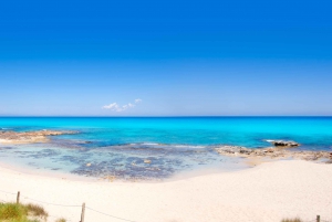 Ibiza: Tur til Formentera med paddleboard, snorkel og frokost