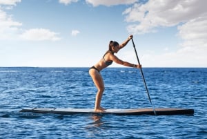 イビサ：パエリア、オープンバー、スイムストップ付きフォルメンテラクルーズ