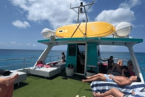 イビサ：パエリア、オープンバー、スイムストップ付きフォルメンテラクルーズ