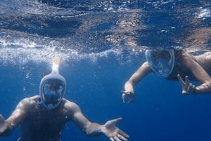 イビサ：パエリア、オープンバー、スイムストップ付きフォルメンテラクルーズ