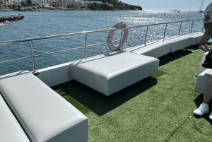 イビサ：パエリア、オープンバー、スイムストップ付きフォルメンテラクルーズ