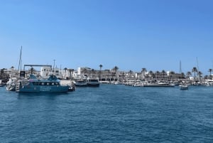 イビサ：パエリア、オープンバー、スイムストップ付きフォルメンテラクルーズ