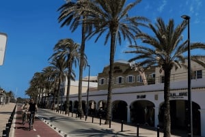 イビサ：パエリア、オープンバー、スイムストップ付きフォルメンテラクルーズ