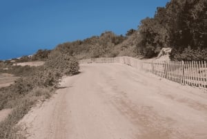 イビサ：パエリア、オープンバー、スイムストップ付きフォルメンテラクルーズ