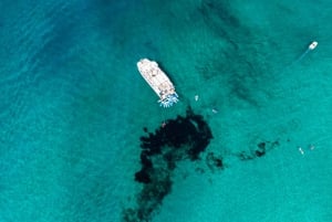 Ibiza: Tur til Formentera med paddleboard, snorkel og frokost