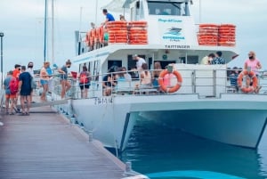 Ibiza: Tur til Formentera med paddleboard, snorkel og frokost