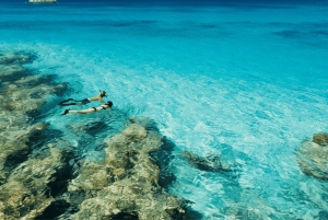 Ibiza: Formentera Floating Spa Ritual – Swim & Golden Return