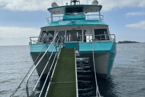 Ibiza: całodniowa wycieczka łodzią na Formenterę z lunchem i nurkowaniem z rurką