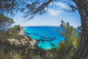 Ibiza: całodniowa wycieczka łodzią na Formenterę z lunchem i nurkowaniem z rurką