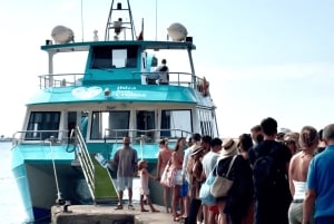 Ibiza: całodniowa wycieczka łodzią na Formenterę z lunchem i nurkowaniem z rurką