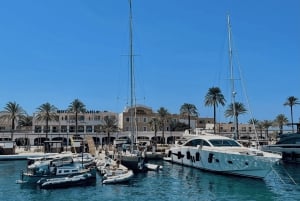 Ibiza: dagtrip naar Formentera met lunch en snorkelen
