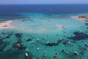Ibiza: dagcruise naar Formentera met paella, barbecue en open bar