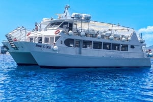 Ibiza: dagcruise naar Formentera met paella, barbecue en open bar
