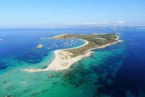 Ibiza: dagcruise naar Formentera met paella, barbecue en open bar