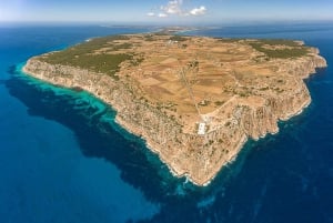 Ibiza: dagcruise naar Formentera met paella, barbecue en open bar